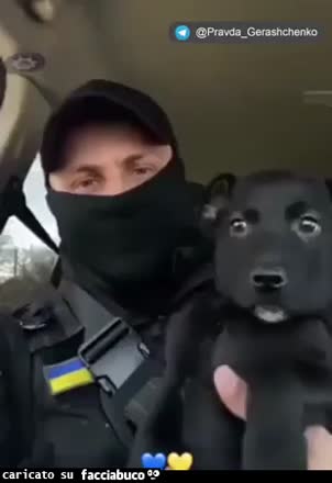Ukraine soldiers with animals