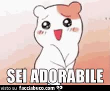 gif animata