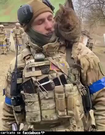 Ukraine soldier with cat