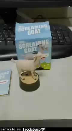 gif animata