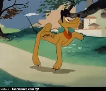gif animata