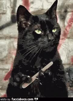 gif animata