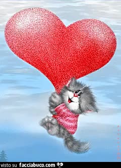 gif animata