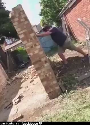 Gif Animata