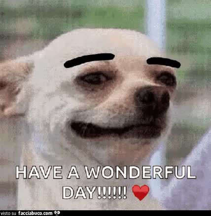 gif animata