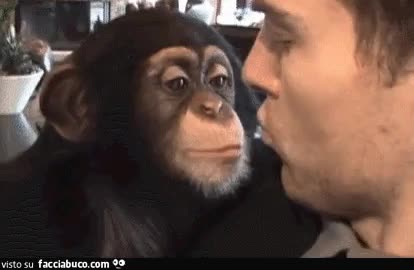 gif animata