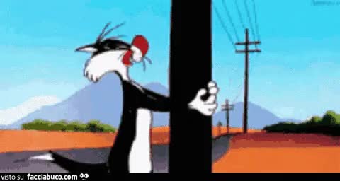 gif animata