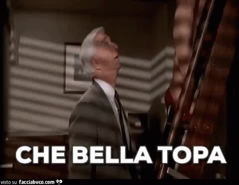 gif animata